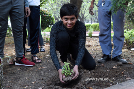 (CBSE SEWA) Tree Plantation by Class 7 Students (25)