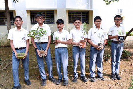 (CBSE SEWA) Tree Plantation by Class 7 Students (10)