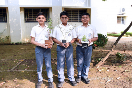 (CBSE SEWA) Tree Plantation by Class 7 Students (9)