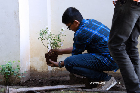 (CBSE SEWA) Tree Plantation by Class 7 Students (5)