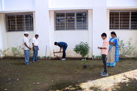 (CBSE SEWA) Tree Plantation by Class 7 Students (1)