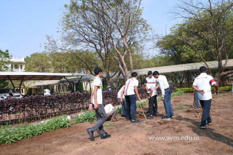(CBSE SEWA) Tree Plantation by Class 7 Students (36)