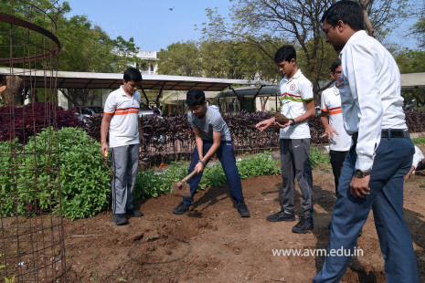 (CBSE SEWA) Tree Plantation by Class 7 Students (30)