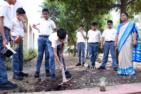 (CBSE SEWA) Tree Plantation by Class 7 Students (15)
