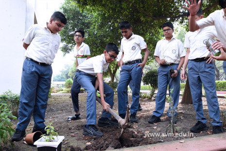 (CBSE SEWA) Tree Plantation by Class 7 Students (16)