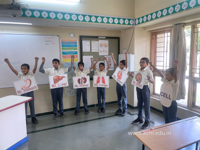 Std 3 Activity - Our Unique Body Works in Harmony(47)
