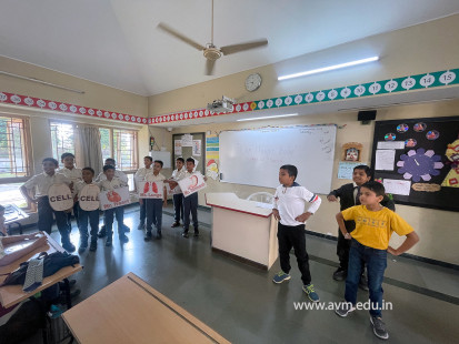 Std 3 Activity - Our Unique Body Works in Harmony(15)