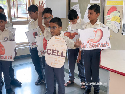 Std 3 Activity - Our Unique Body Works in Harmony(14)