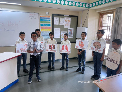 Std 3 Activity - Our Unique Body Works in Harmony(36)