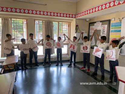 Std 3 Activity - Our Unique Body Works in Harmony(33)
