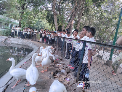 Std 1 to 4 Visit to Dr Shyamaprasad Mukherji Zoological Garden (115)