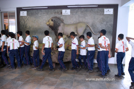 Std 1 to 4 Visit to Dr Shyamaprasad Mukherji Zoological Garden (99)