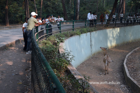 Std 1 to 4 Visit to Dr Shyamaprasad Mukherji Zoological Garden (77)