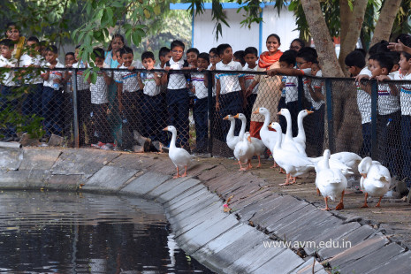 Std 1 to 4 Visit to Dr Shyamaprasad Mukherji Zoological Garden (37)