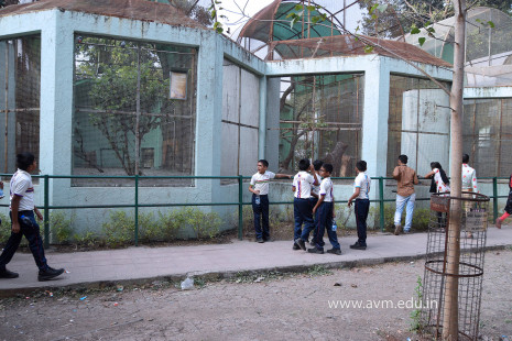 Std 1 to 4 Visit to Dr Shyamaprasad Mukherji Zoological Garden (88)