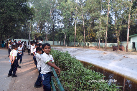 Std 1 to 4 Visit to Dr Shyamaprasad Mukherji Zoological Garden (70)