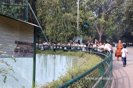 Std 1 to 4 Visit to Dr Shyamaprasad Mukherji Zoological Garden (53)
