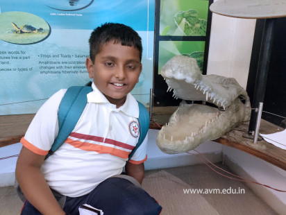 Std 1 to 4 Visit to Dr Shyamaprasad Mukherji Zoological Garden (140)