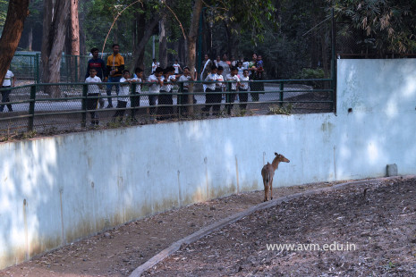 Std 1 to 4 Visit to Dr Shyamaprasad Mukherji Zoological Garden (78)