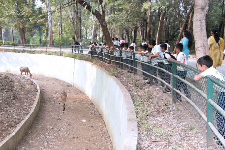Std 1 to 4 Visit to Dr Shyamaprasad Mukherji Zoological Garden (74)