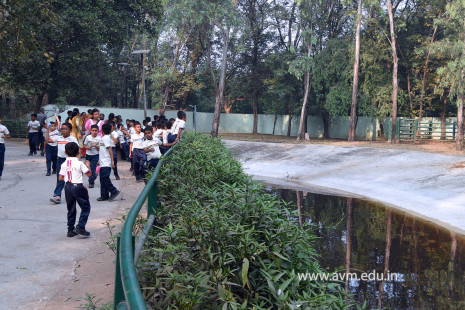 Std 1 to 4 Visit to Dr Shyamaprasad Mukherji Zoological Garden (71)