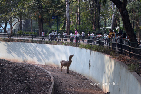 Std 1 to 4 Visit to Dr Shyamaprasad Mukherji Zoological Garden (75)