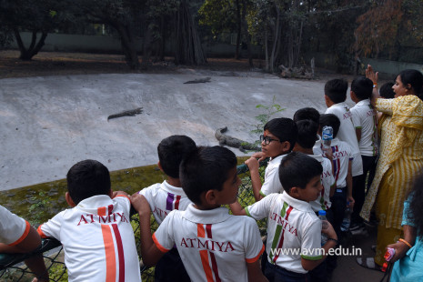 Std 1 to 4 Visit to Dr Shyamaprasad Mukherji Zoological Garden (63)