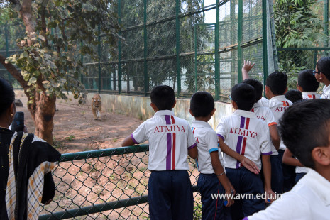 Std 1 to 4 Visit to Dr Shyamaprasad Mukherji Zoological Garden (58)