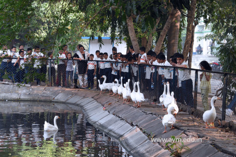 Std 1 to 4 Visit to Dr Shyamaprasad Mukherji Zoological Garden (33)