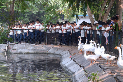Std 1 to 4 Visit to Dr Shyamaprasad Mukherji Zoological Garden (32)