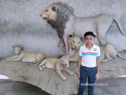 Std 1 to 4 Visit to Dr Shyamaprasad Mukherji Zoological Garden (145)