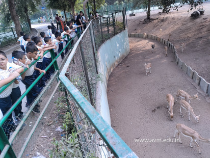 Std 1 to 4 Visit to Dr Shyamaprasad Mukherji Zoological Garden (126)