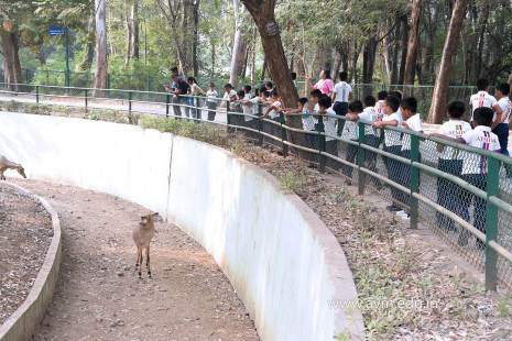 Std 1 to 4 Visit to Dr Shyamaprasad Mukherji Zoological Garden (73)