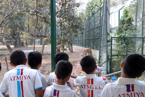 Std 1 to 4 Visit to Dr Shyamaprasad Mukherji Zoological Garden (59)