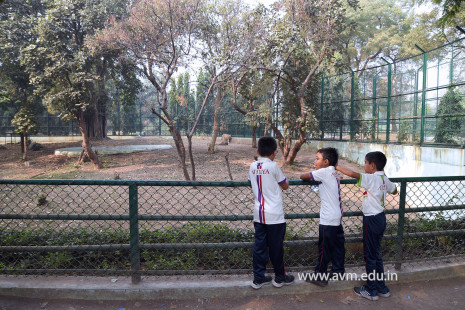 Std 1 to 4 Visit to Dr Shyamaprasad Mukherji Zoological Garden (57)