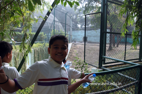 Std 1 to 4 Visit to Dr Shyamaprasad Mukherji Zoological Garden (51)