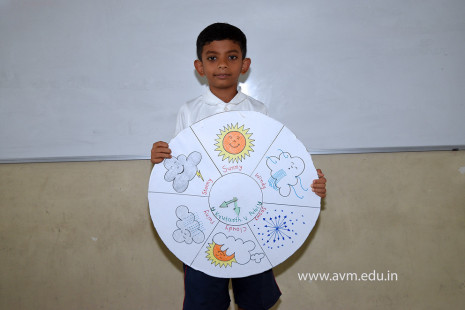 14 - Std 4 Science Projects