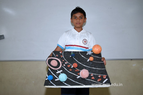 12 - Std 4 Science Projects