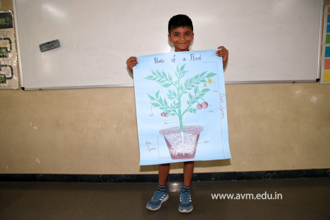 4 - Std 4 Science Projects