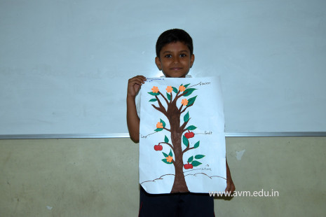 3 - Std 4 Science Projects