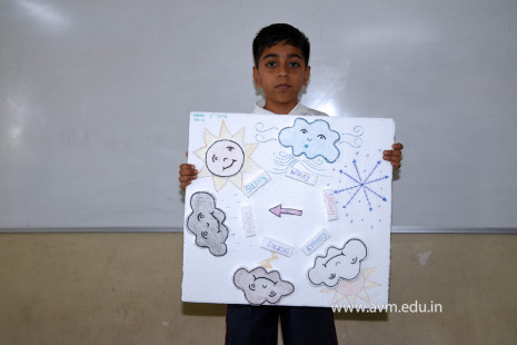 25 - Std 4 Science Projects