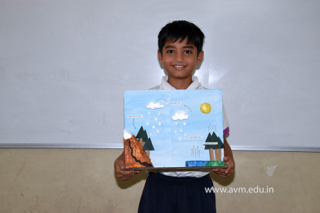 21 - Std 4 Science Projects