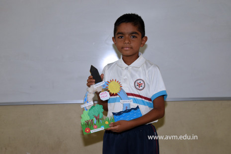 5 - Std 4 Science Projects