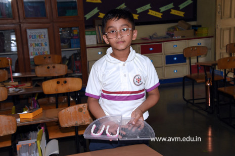 36 - Std 4 Science Projects