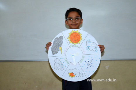 18 - Std 4 Science Projects
