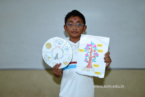 10 - Std 4 Science Projects