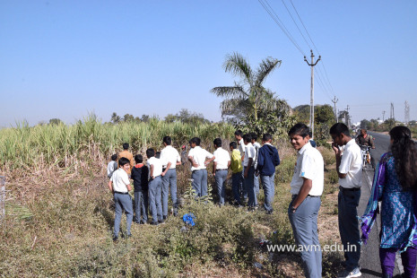 Class 8's field trip to Sugar Factory and Cotton Mill (36)
