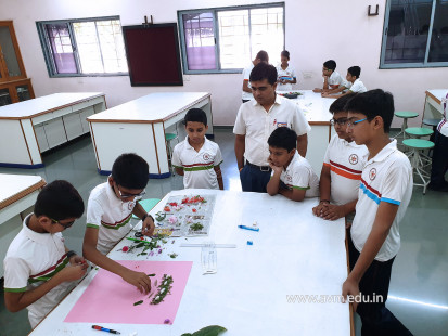 Naturalistic Intelligence Competition 2018-19 (42)