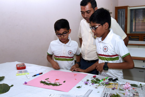 Naturalistic Intelligence Competition 2018-19 (49)