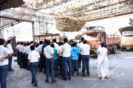 Std 8 Industrial Visit to Madhi Sugar Factory and Textile Factory (12)
